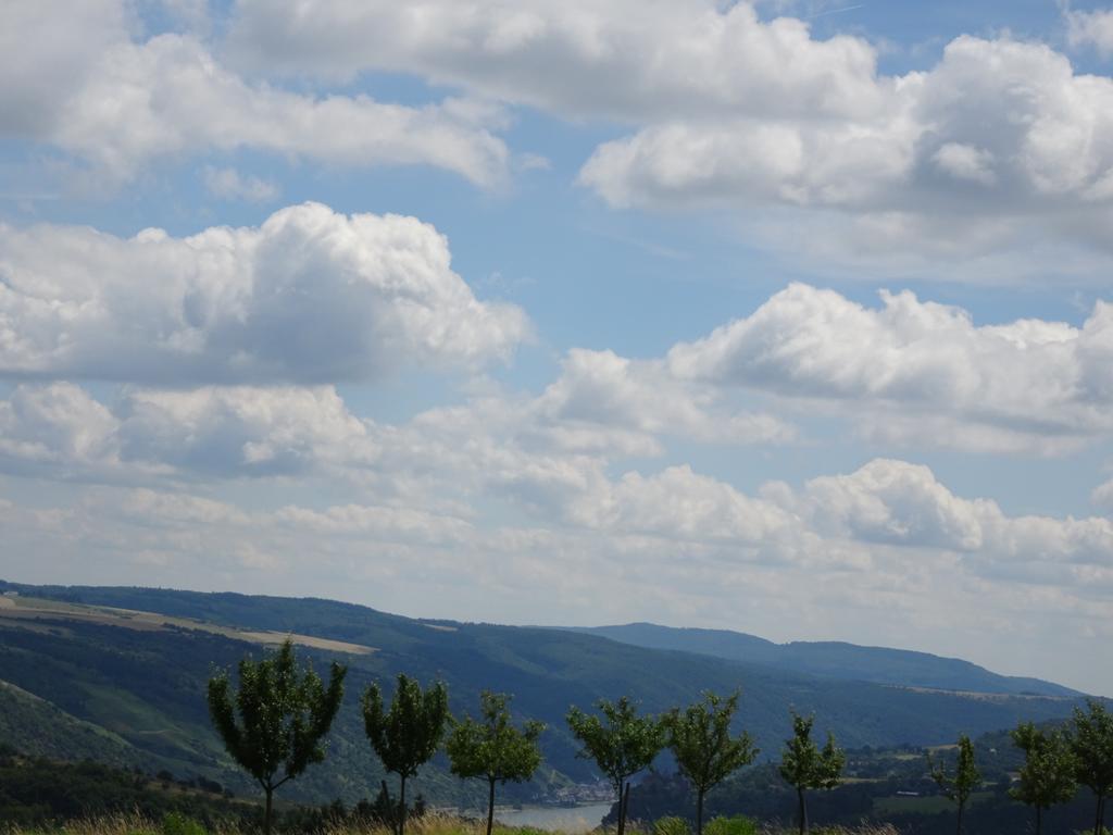 Landgasthaus Alter Posthof Halsenbach Екстер'єр фото